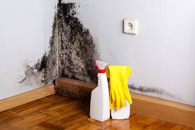 Best Attic Mold Removal  in La Vale, MD